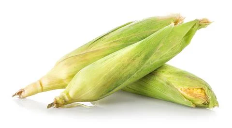 Three corn ears Stock Photos