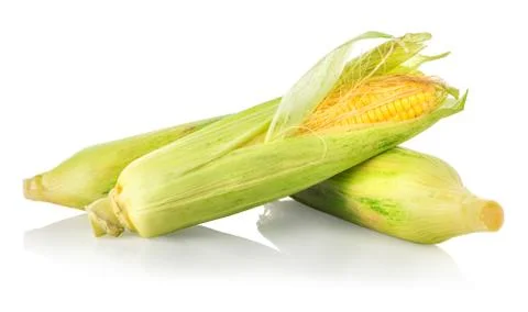 Three corncobs isolated Stock Photos