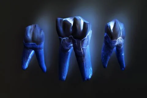 Three cow's teeth with roots on a black background. computer processing. Free Stock Photos