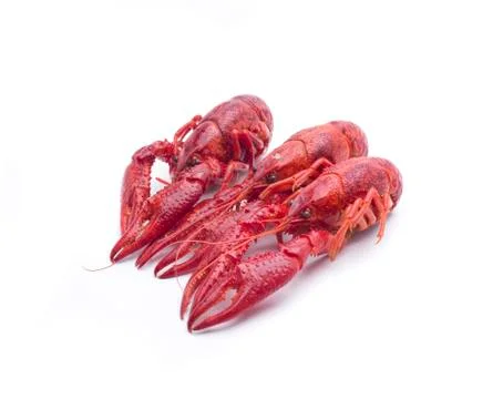 Three crab Stock Photos