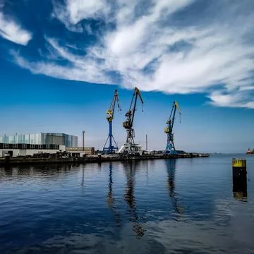 Three cranes in the harbour Foto stock
