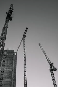 Three cranes Stock Photos