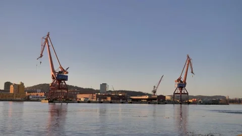 Three cranes at the port in the city Video stock 149675871