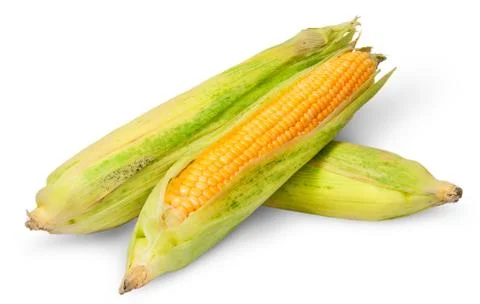 Three cross lying corn cob Stock Photos
