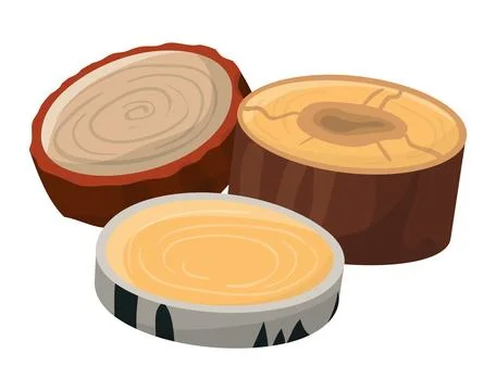 Three cross-sections of tree trunks showing wood rings. Detailed tree stump Stock Illustration