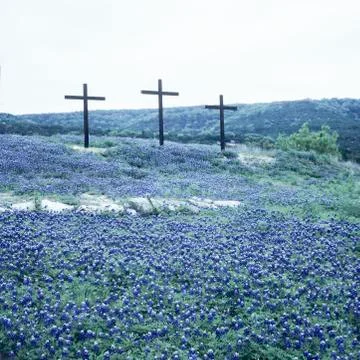Three Crosses in Blue Bonnets Stock Photos