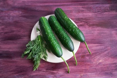 Three cucumbers and bunch of dill Stock Photos