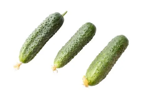 Three cucumbers are shown in a row, with the middle cucumber being the larges 스톡 사진