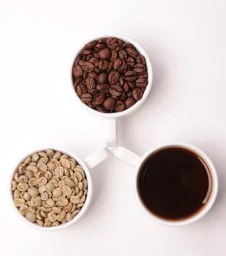 Three cups with different stages of coffee: green and roasted beans and espresso Stock Photos