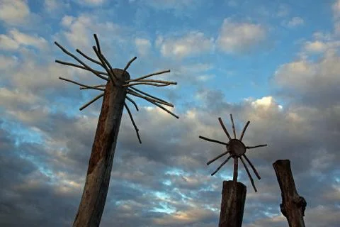 Three cut trees, decorated with dry branches. Mohrytsia, Sumy region, Ukraine Stock Photos