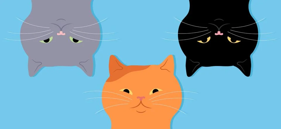 Three cute cats upside down. Curious gray, red and black cats Stock Illustration