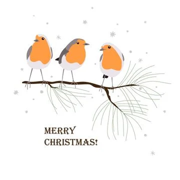 Three cute robin birds sitting on a pine brunch. Xmas cartoon isolated vector Stock Illustration
