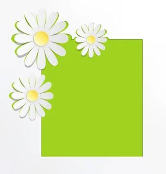 Three cutout chamomiles with frame on grayscale. Floral spring abstract Stock Illustration