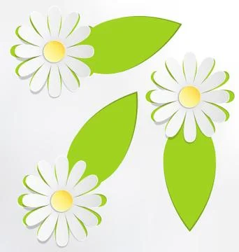 Three cutout chamomiles with frames for text on grayscale Stock Illustration