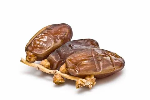 Three dates on the branch. Stock Photos