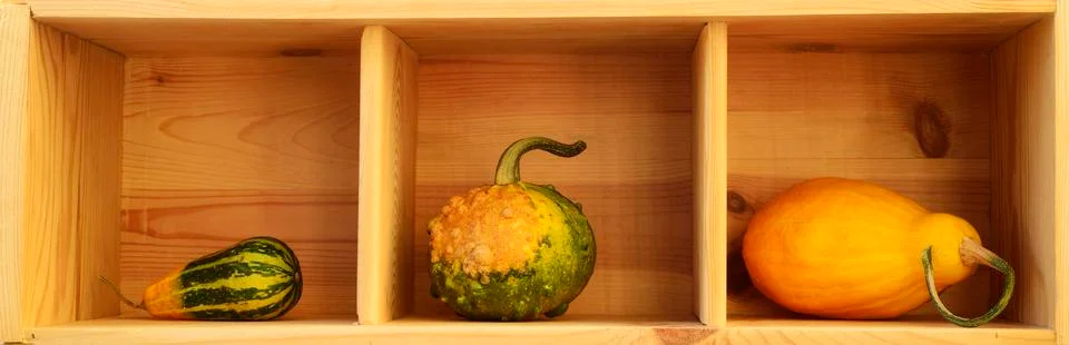 Three decorative pumpkins Stock Photos