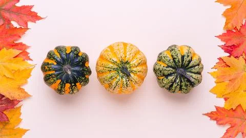 Three decorative spotted pumpkins framed with bright maple leaves. Stock Photos