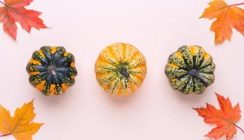 Three decorative spotted pumpkins in a row on a light background decorated with Stock Photos