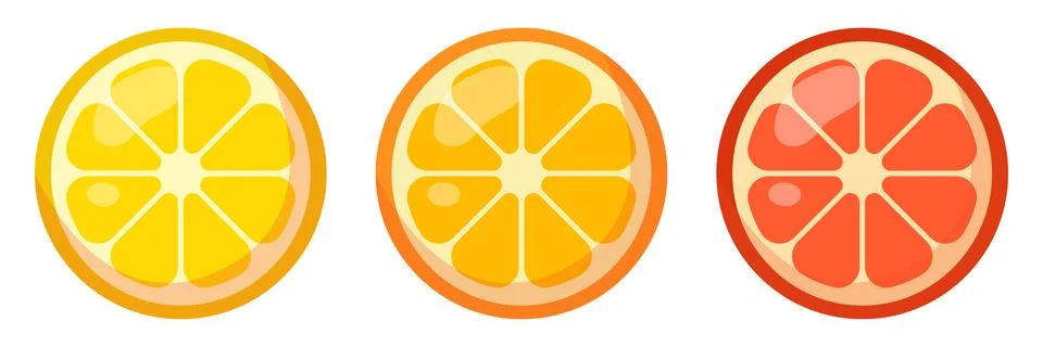 Three different citrus slices. Vector illustration Stock Illustration