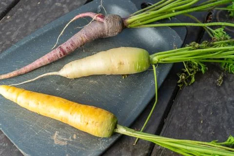 Three different colored carrots lie on a cutting board on a table Stock Photos