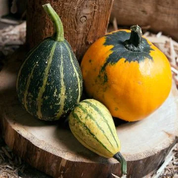 Three different decorative pumpkins Stock Photos