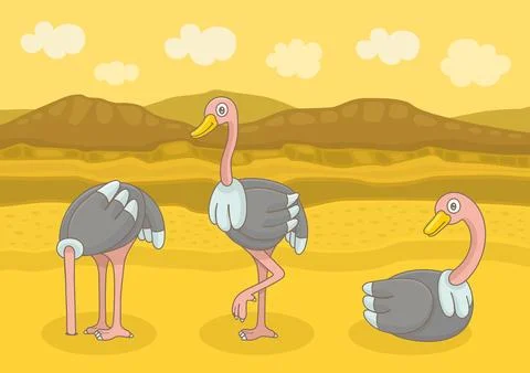 Three different Ostrich Stock Illustration