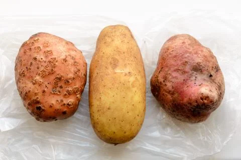 Three Different Potatoes Stockfoto's