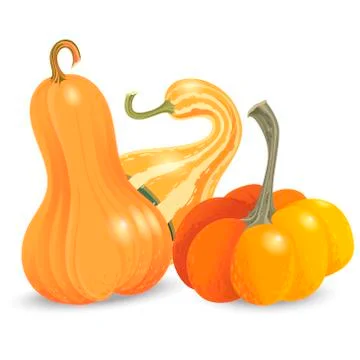 Three different pumpkin isolated on white background. Vector Illustration Stock Illustration