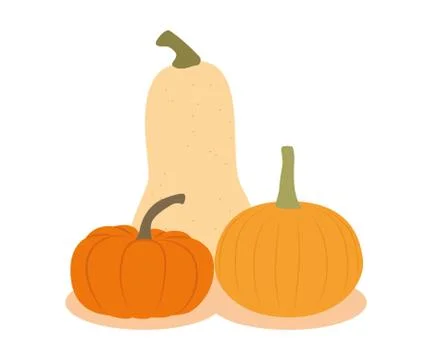 Three different pumpkins isolated on white background Stock Illustration