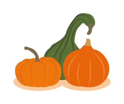 Three different pumpkins isolated on white background Stock Illustration