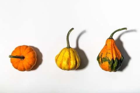 Three different pumpkins on a white background Stock Photos