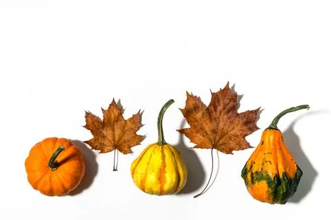 Three different pumpkins on a white background Stock Photos