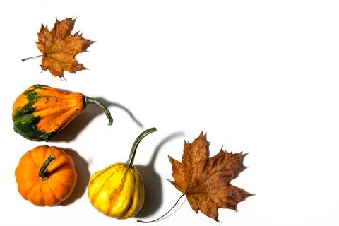 Three different pumpkins on a white background Stock Photos