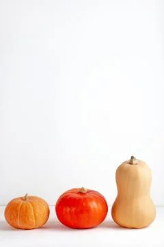 Three different pumpkins on white background Stock Photos