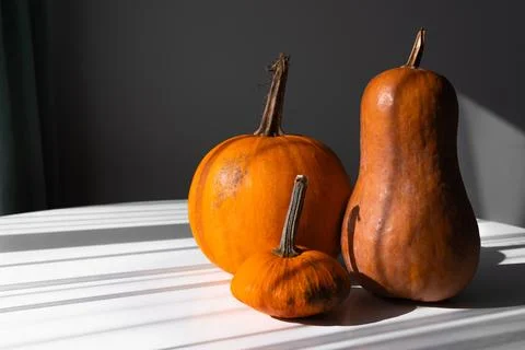 Three Different Pumpkins on a White Table in Natural Light Stock Photos