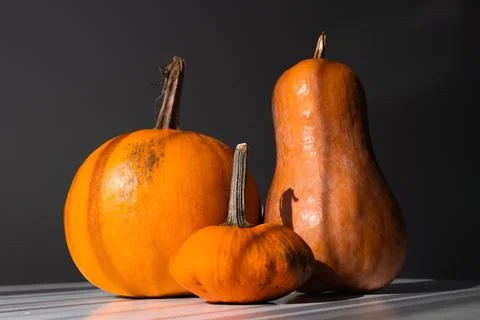 Three Different Pumpkins on a White Table in Natural Light Stock Photos