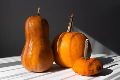 Three Different Pumpkins on a White Table in Natural Light Stock Photos