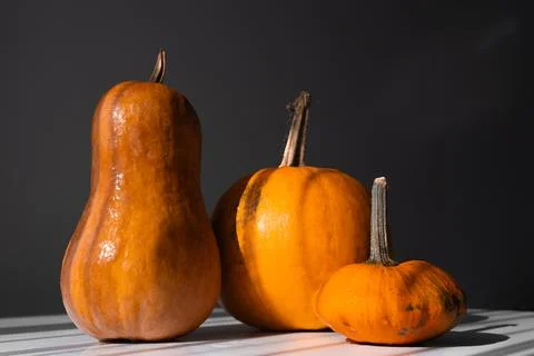 Three Different Pumpkins on a White Table in Natural Light Stock Photos