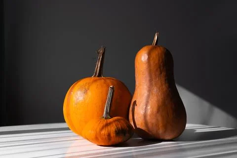 Three Different Pumpkins on a White Table in Natural Light Stock Photos