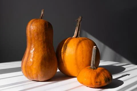 Three Different Pumpkins on a White Table in Natural Light Stock Photos
