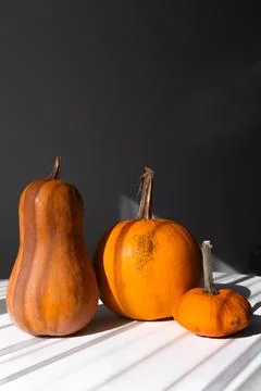 Three Different Pumpkins on a White Table in Natural Lightv Stock Photos