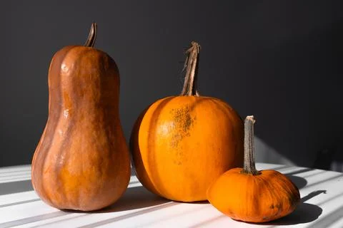 Three Different Pumpkins on a White Table in Natural Light Stock Photos