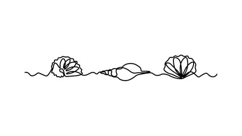 Three different shells in a row, Self drawing animation one continuous line draw Stock Footage 300938387