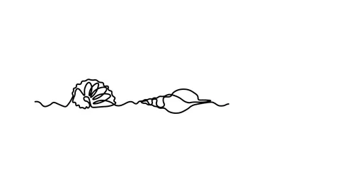 Three different shells in a row, Self drawing animation one continuous line draw Stock Footage 300938390