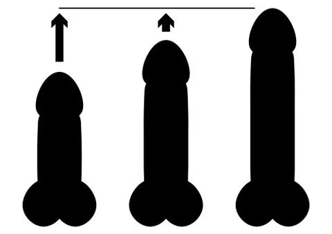 Three different sizes penises Stock Illustration