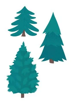 Three different styles of evergreen trees, pine forest elements, stylized Stock Illustration
