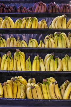 Three different types of bananas on the counter in a store Stock Photos