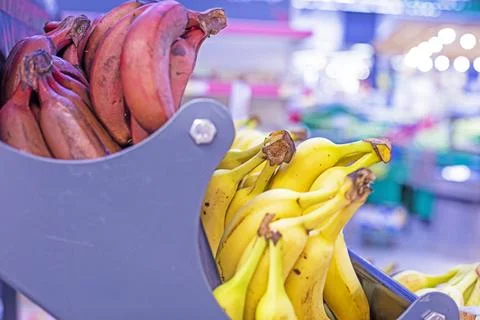 Three different types of bananas on the counter in a store Stock Photos