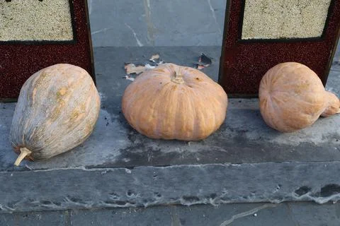 Three different types of pumpkins lying on the ground, in front of an ancie.. Stock Photos