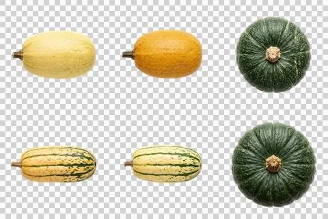 Three different types of whole squash and gourds on a transparent background. Stock-Fotos